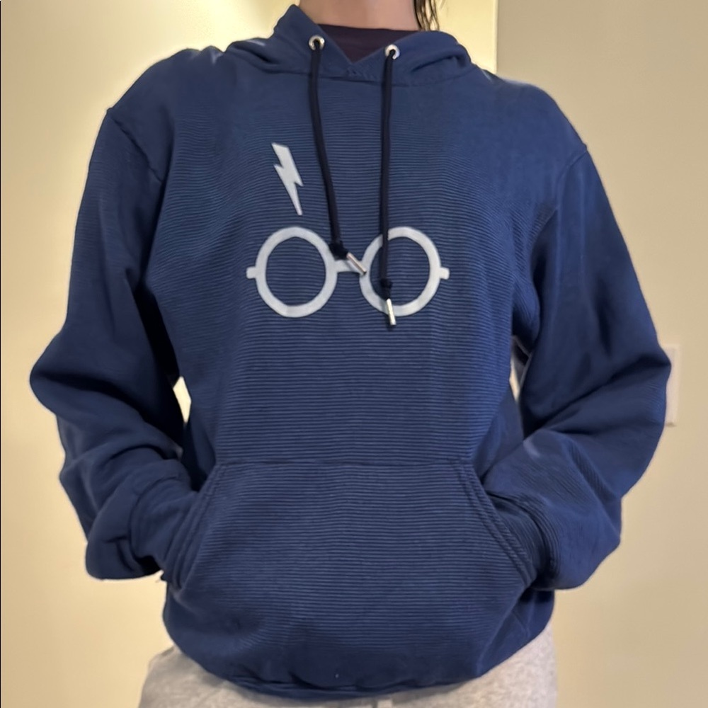 Blue Striped Harry Potter Hoodie